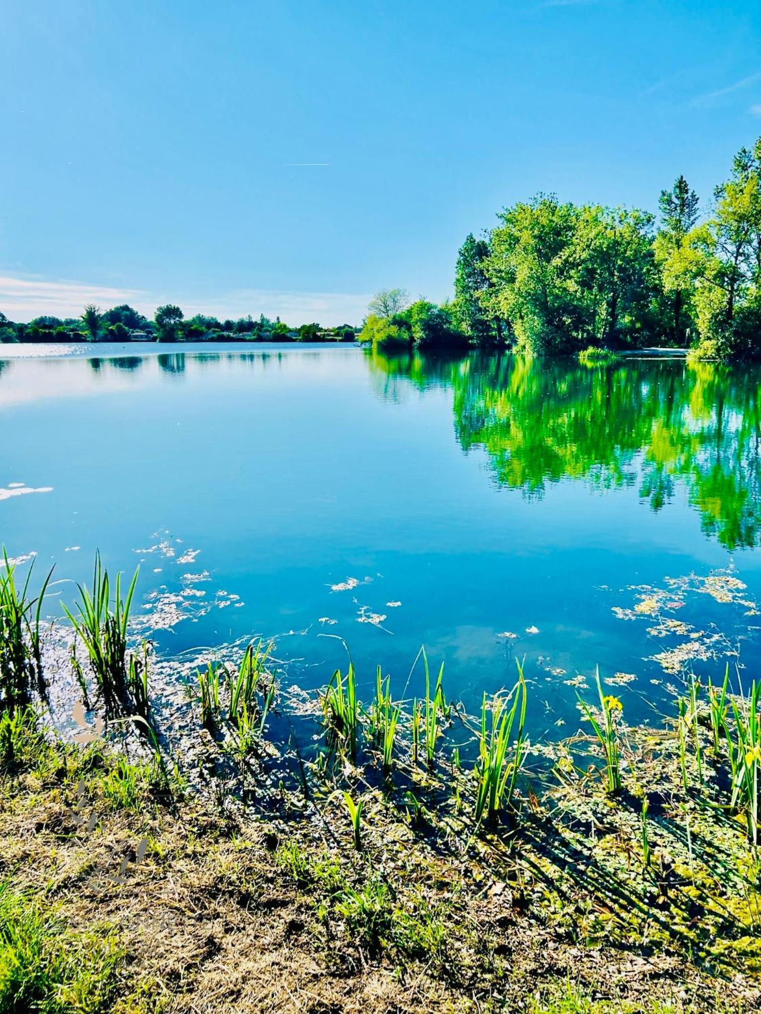 Maison Avec Acces Au Lac Izon Exteriör bild